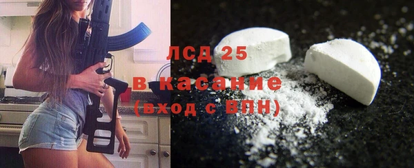 spice Верея